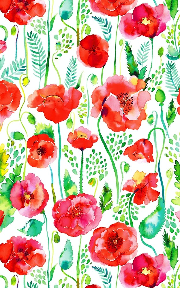 Poppies Red