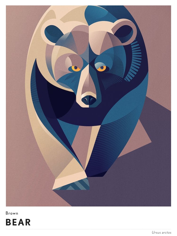 Brown Bear