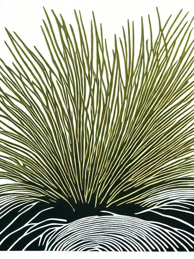 Acropora Valida Ii Linocut