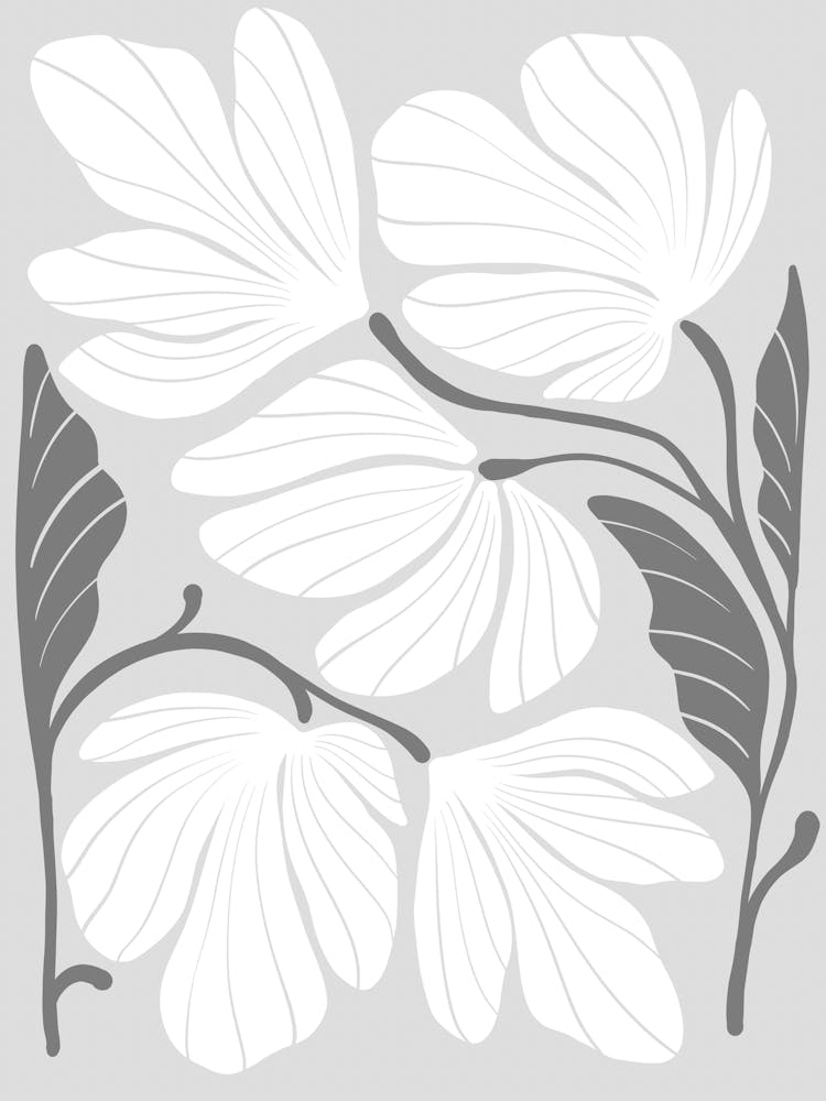 White Magnolia