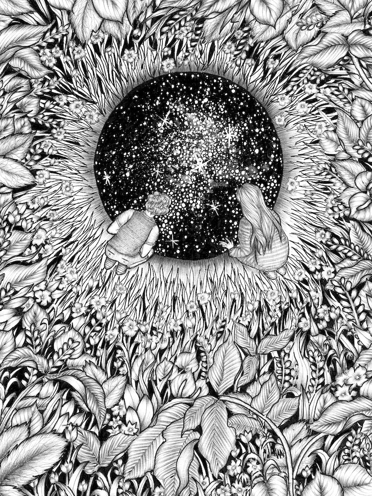 The Hole We Found in The Garden