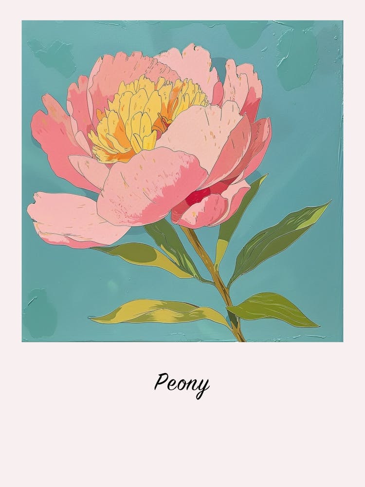 Peony 3 Square Flower Illustration Poster