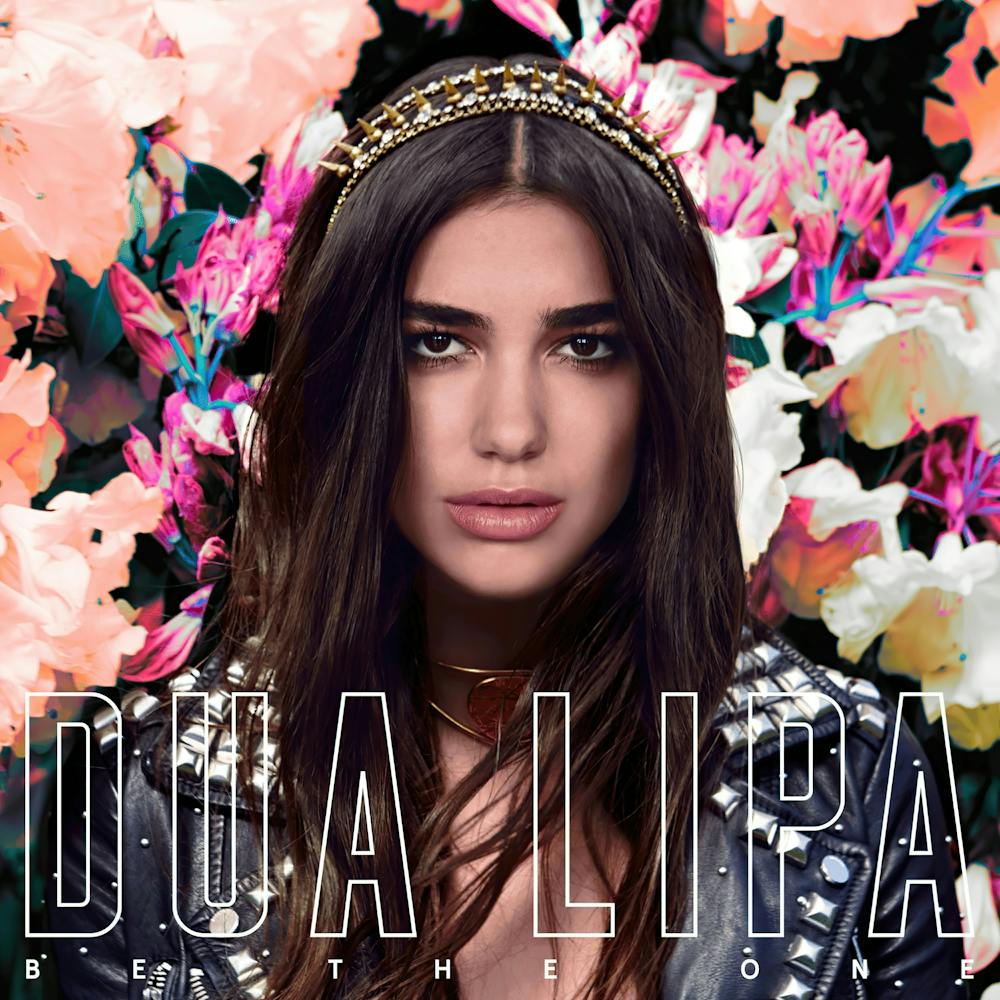 Dua Lipa Album (5)