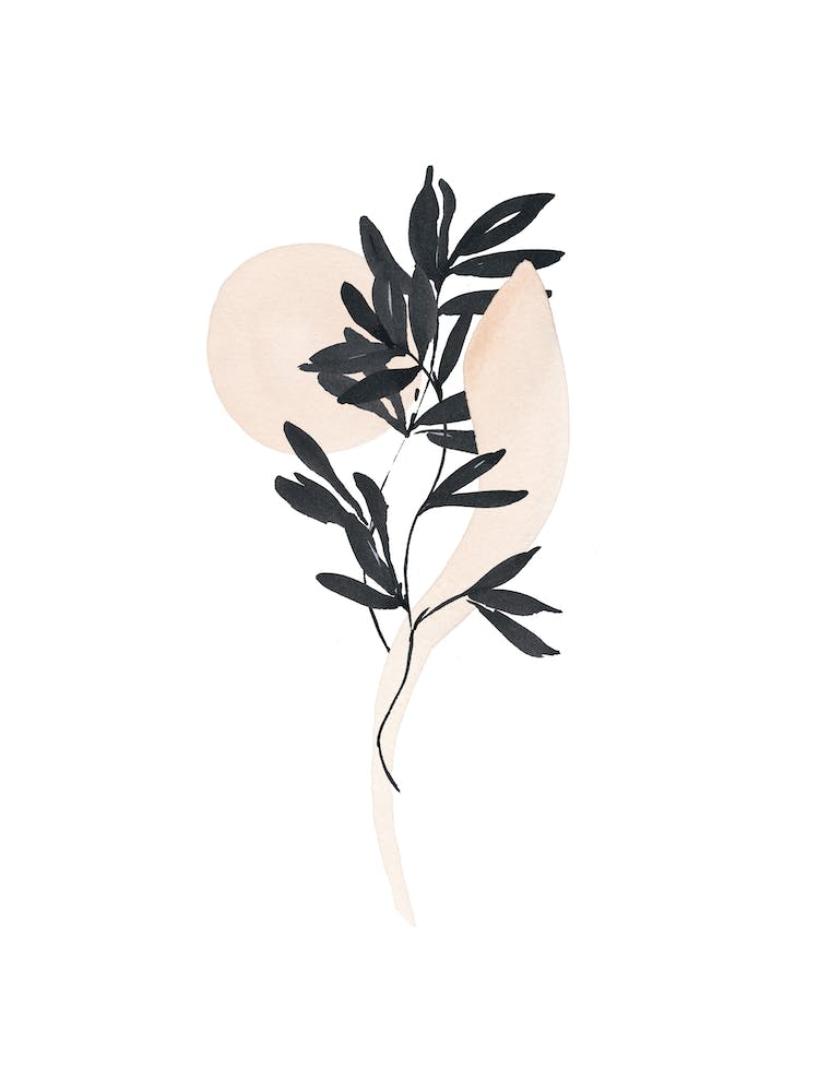 Calligraphy Plant