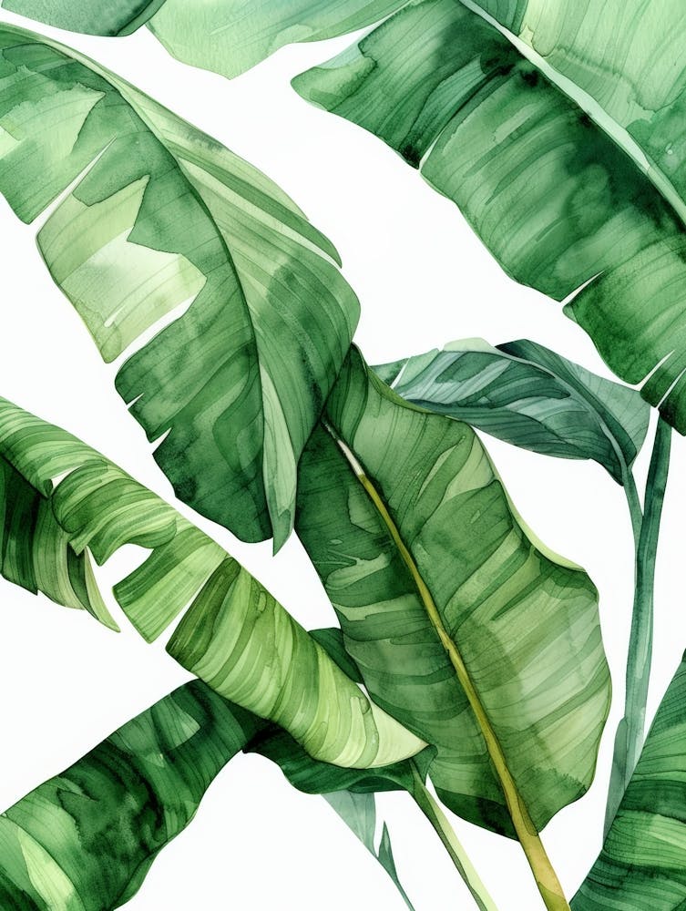 Green Banana Leaves