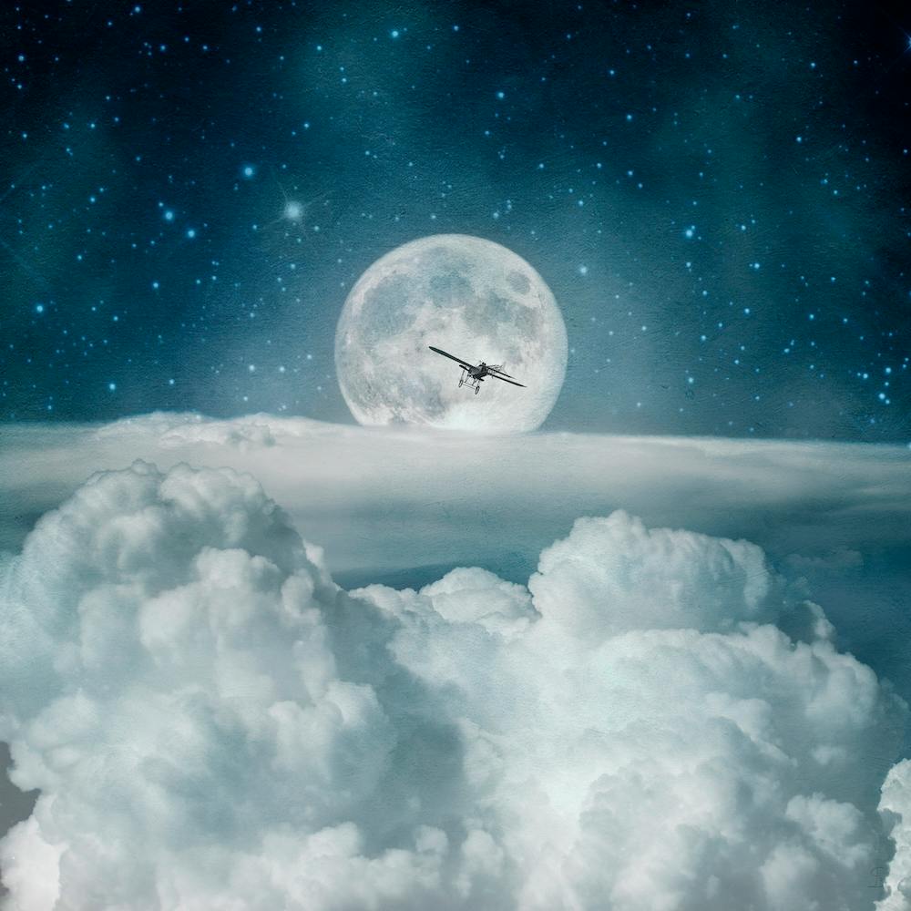 Moon Flight