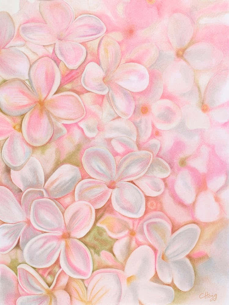 The Essence Of Spring