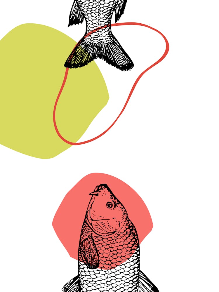 Goldfish