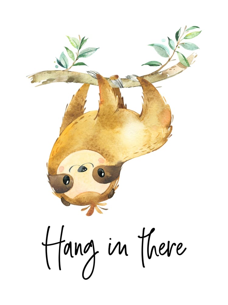 Sloth Hang In There