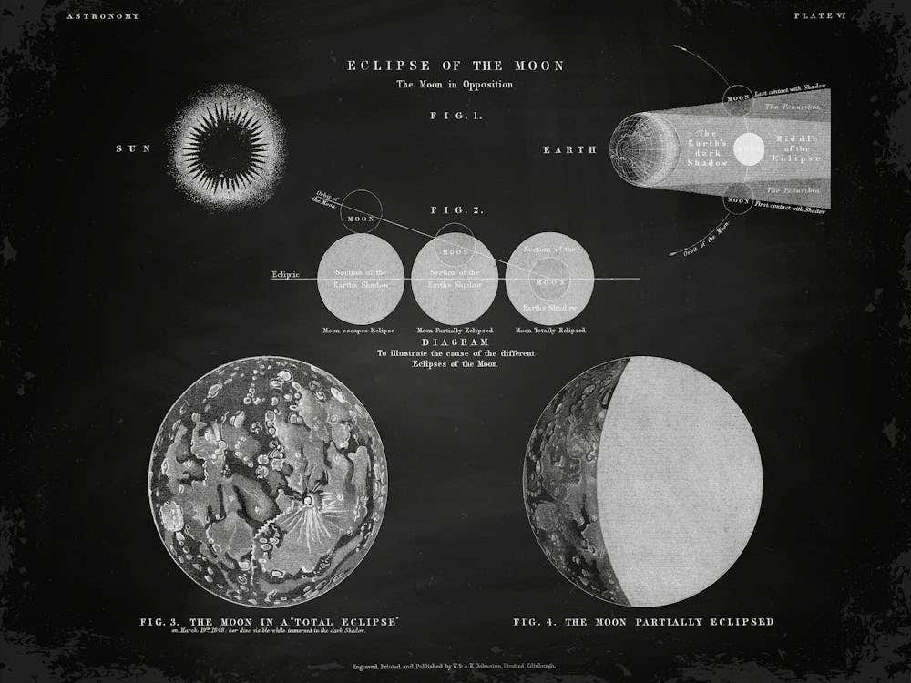 Astronomy - Vintage poster, esotericism print, spiritual, mystic 1