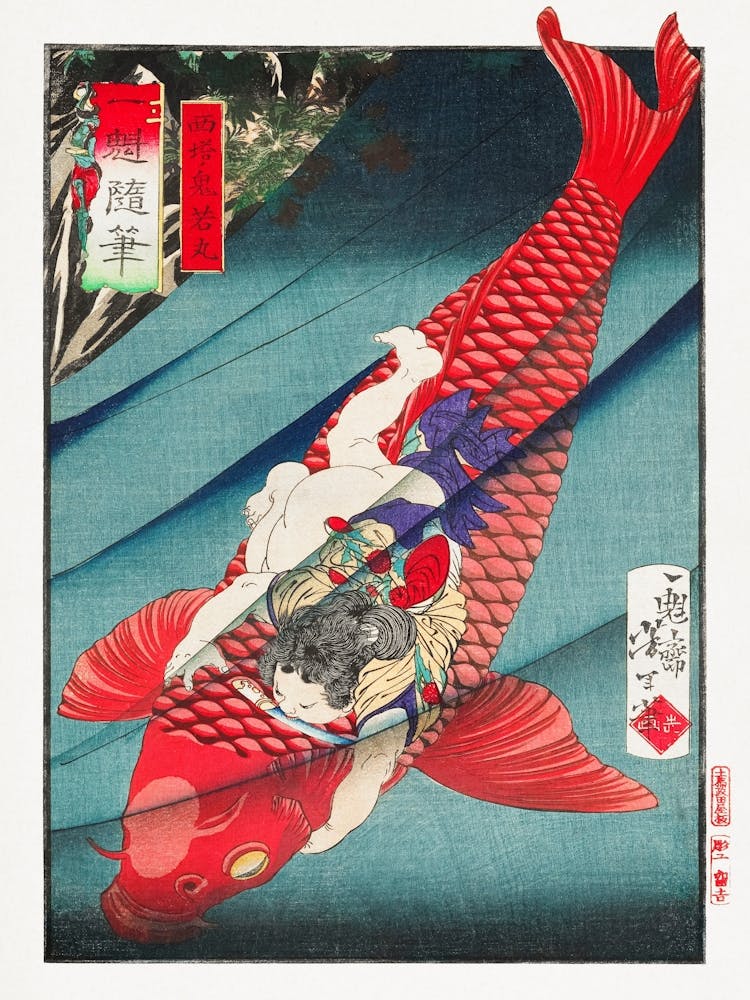 Koi Fish