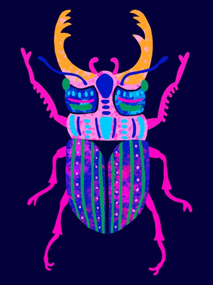 Stag Beetle