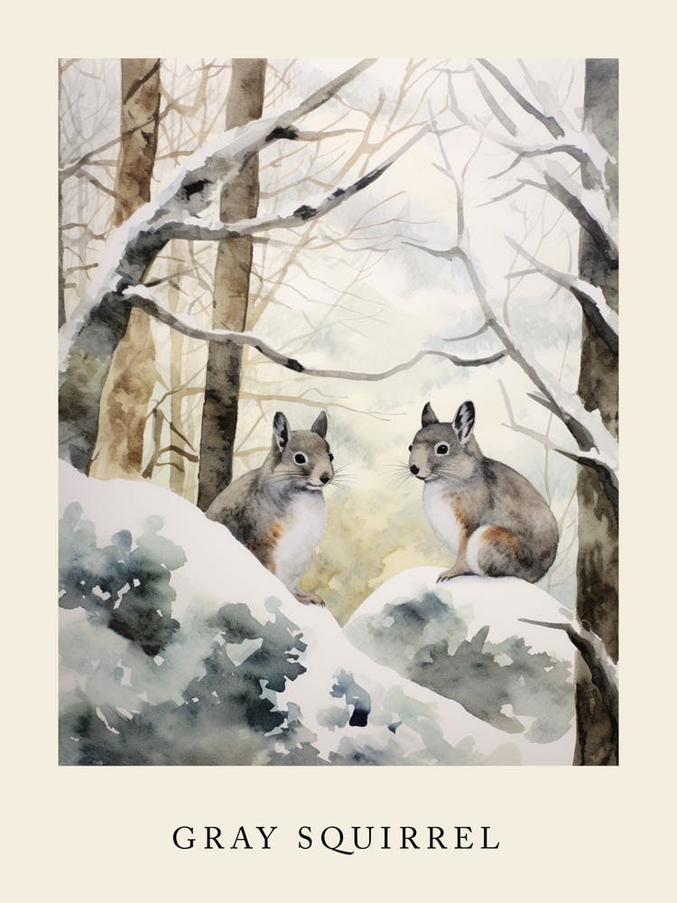 Winter Watercolour Gray Squirrel 4 Poster