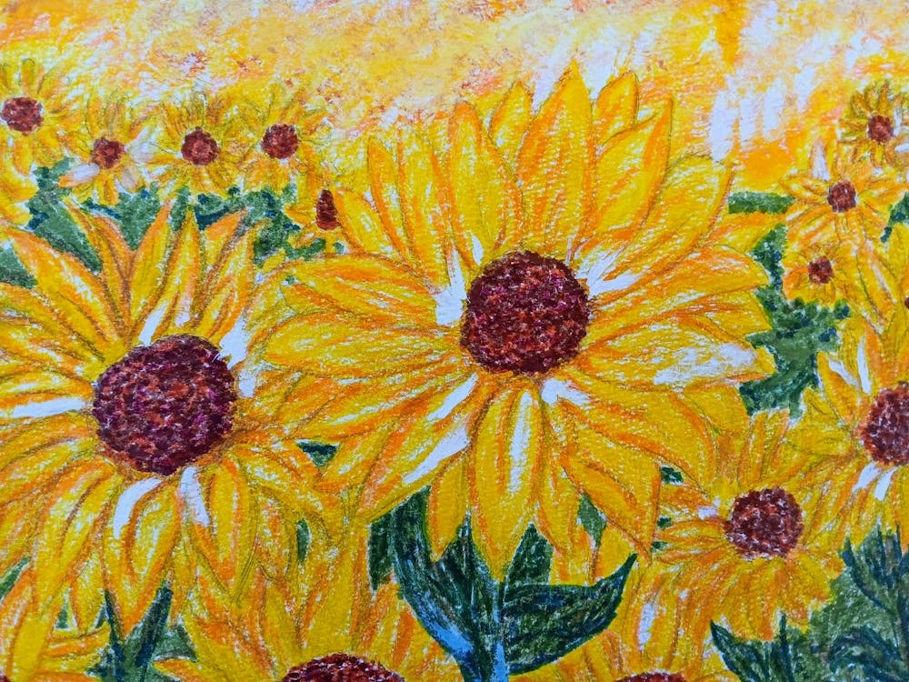 Field of Sun