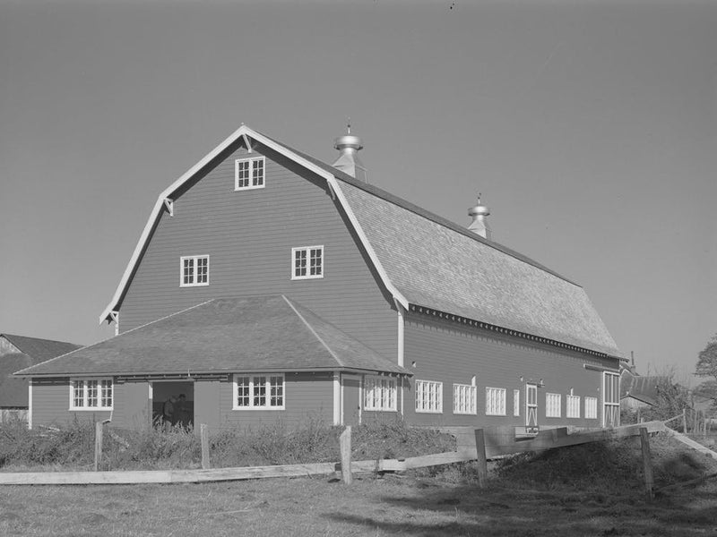 Hip Barn Of Dairy Farmer In Tillamook County, Oregon, Most Of The Milk Produced In This County Is Made Int