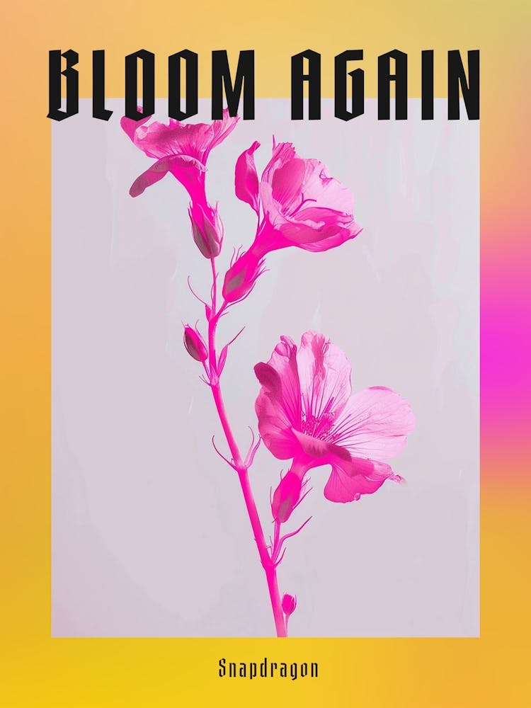 Hot Pink Snapdragon 2 Poster