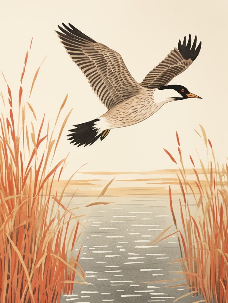 Bird Illustration Grebe 3