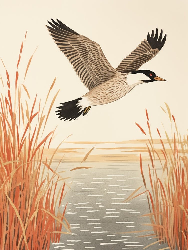 Bird Illustration Grebe 3