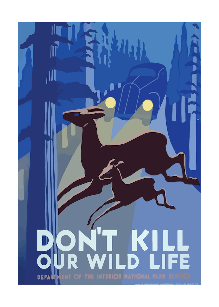 Don't Kill Our Wild Life Vintage