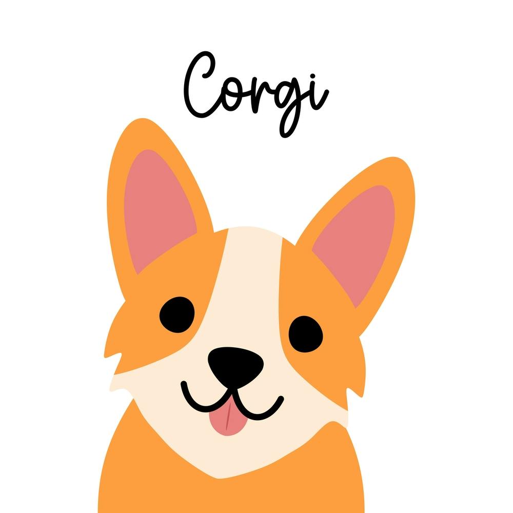 Corgi