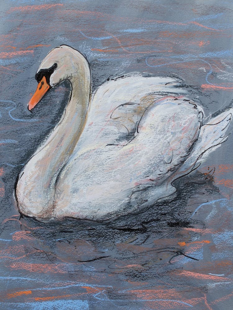 Swan On Lake