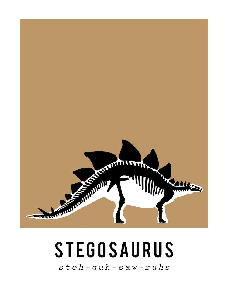 Stegosaurus, Dinosaur Boys Room Decor