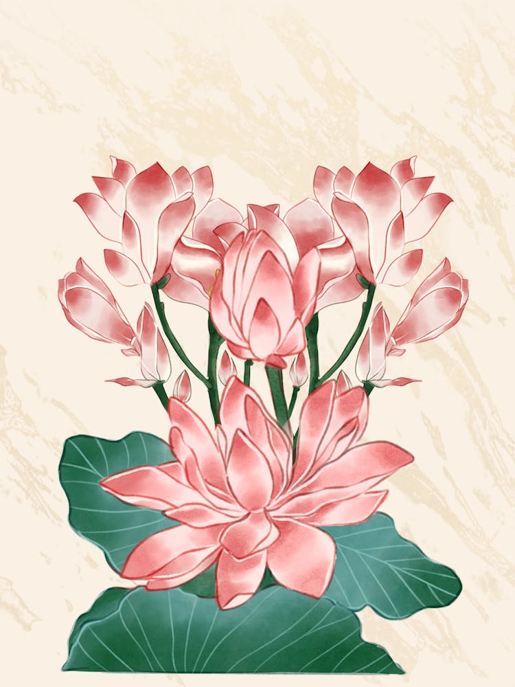 Lotus Flower 19