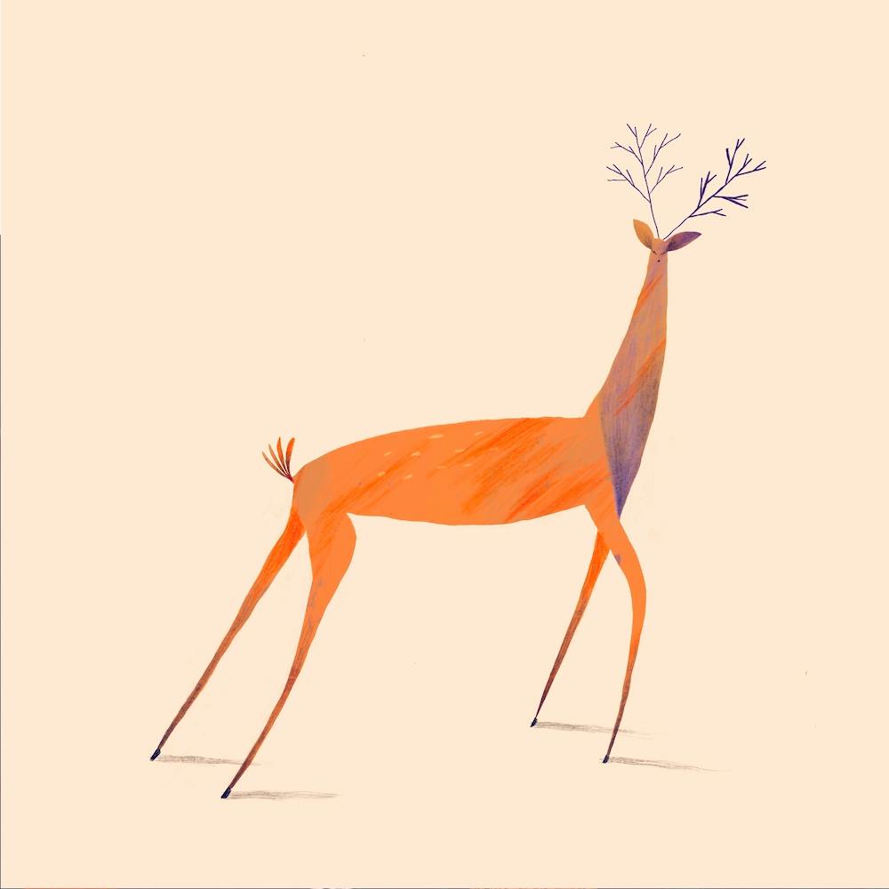 The Deer