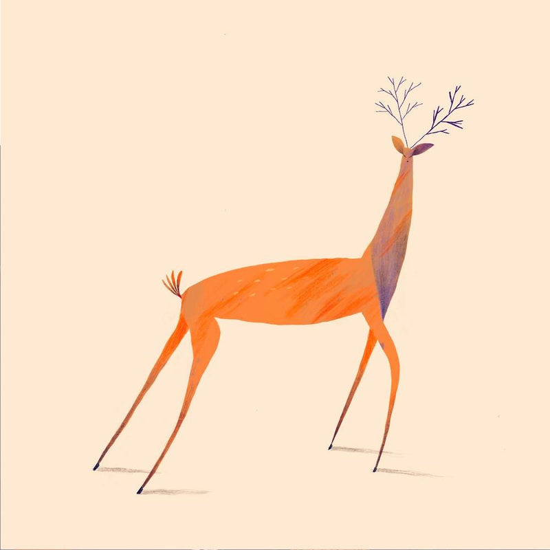 The Deer