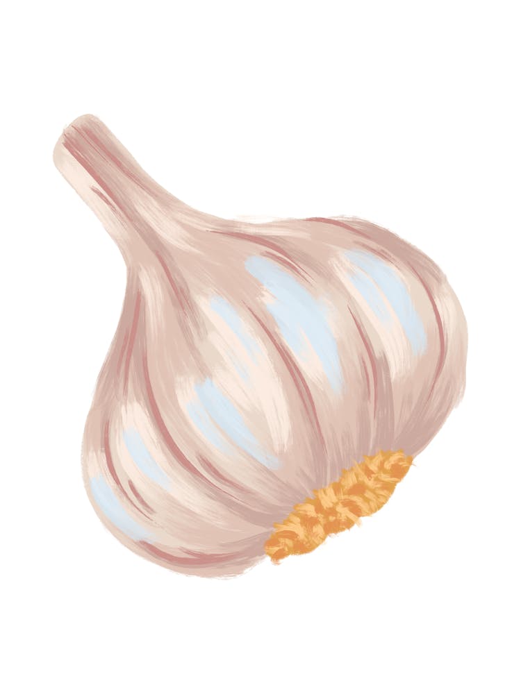 Garlic Clove