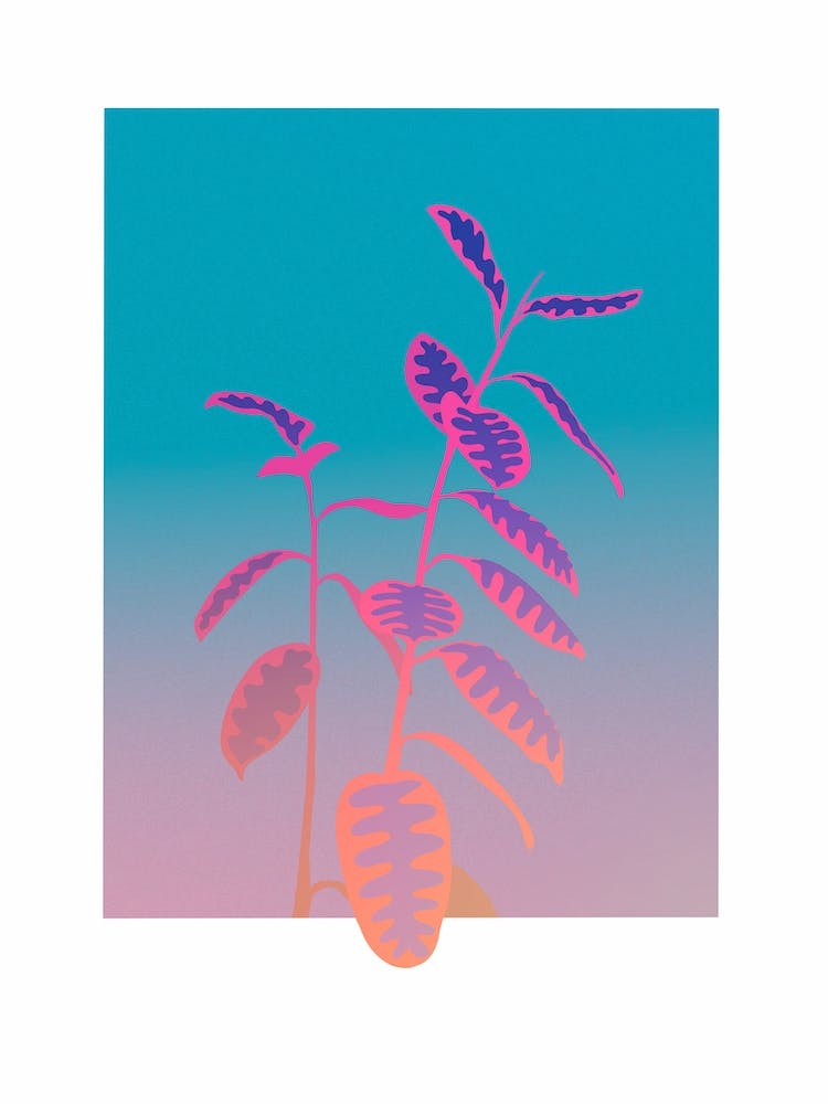 Organismic