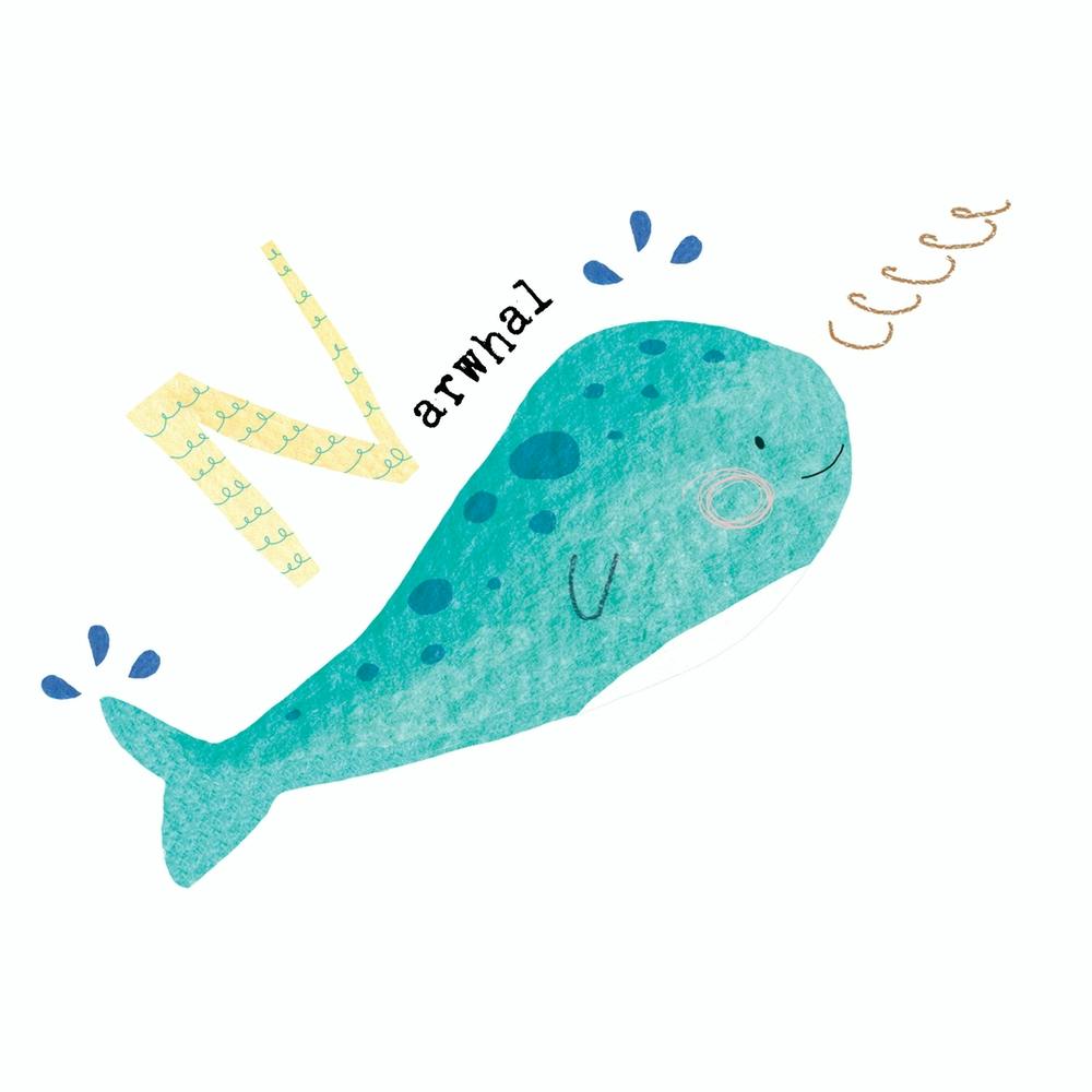 N for Narwhal