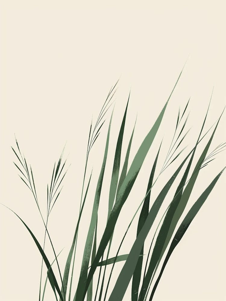 Grass Plant Minimalist Illustration 4