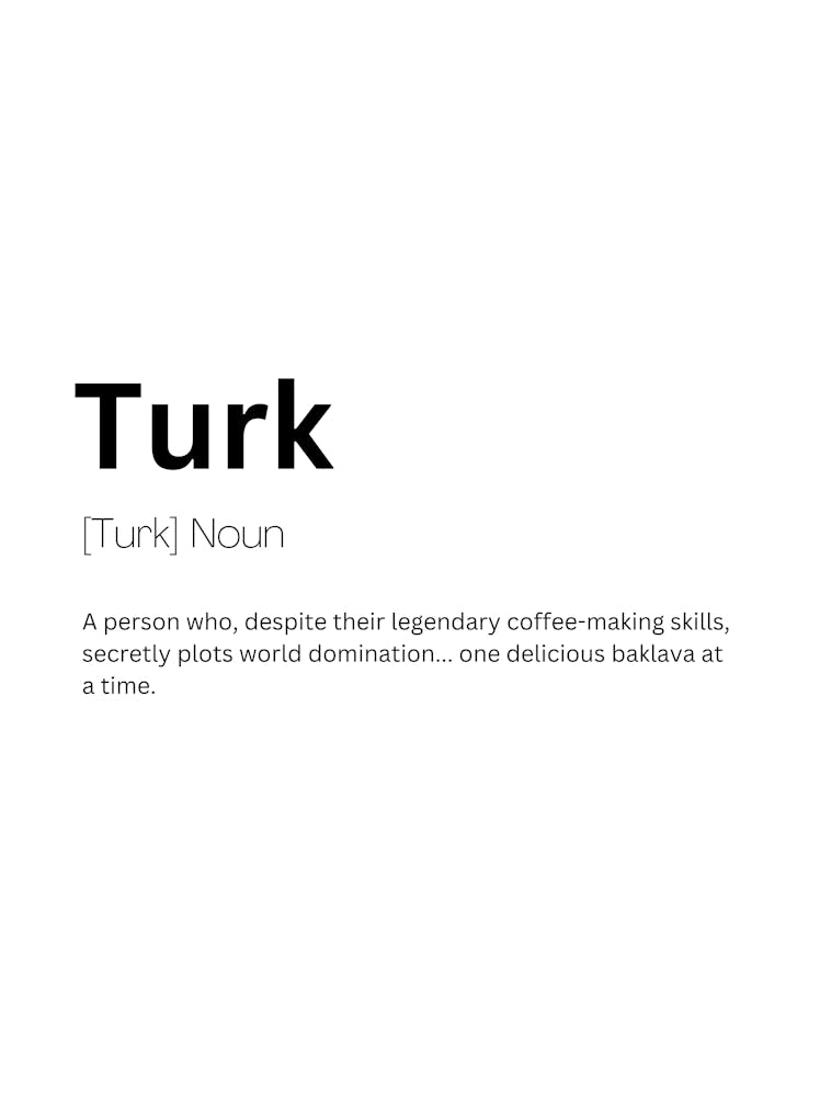 Turk Definition Meaning