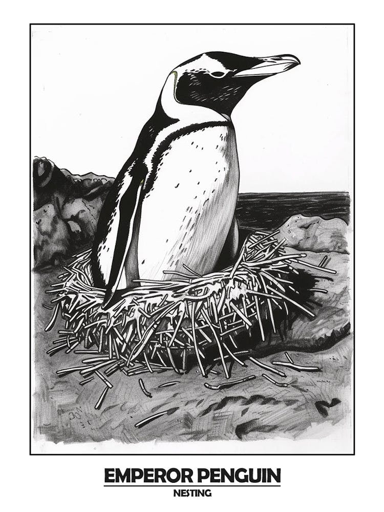 Penguin Nesting Poster 5