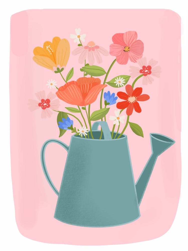 Bloom 
