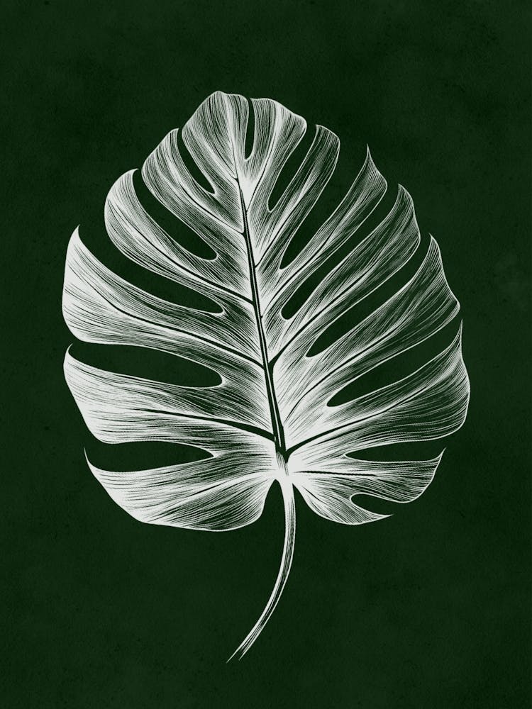 Monstera Leaf Print