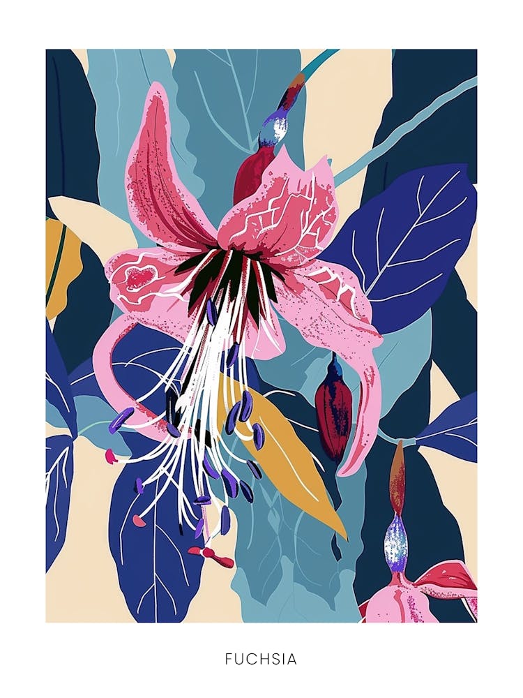 Colourful Flower Illustration Poster Fuchsia 4