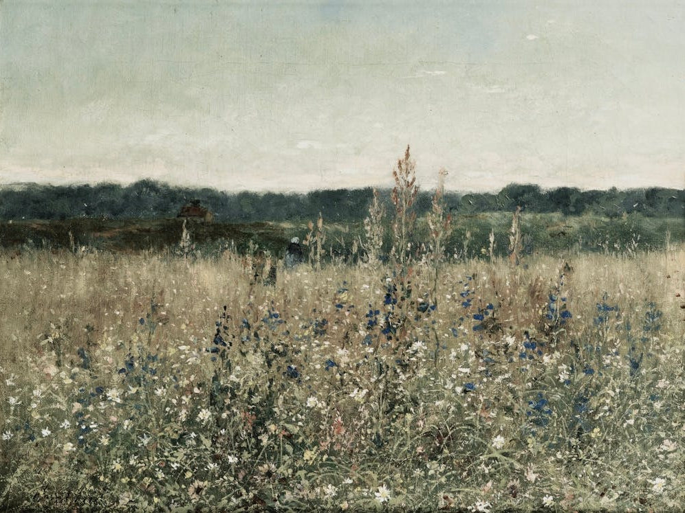 Wildflowers In A Field 2