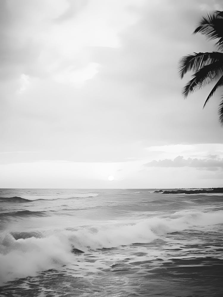 Black And White Beach Scene 7