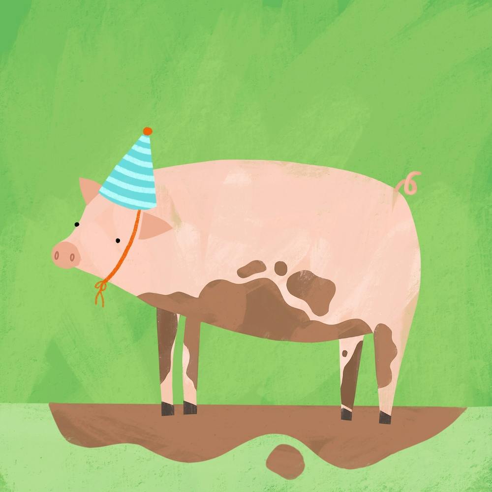 Party Pig