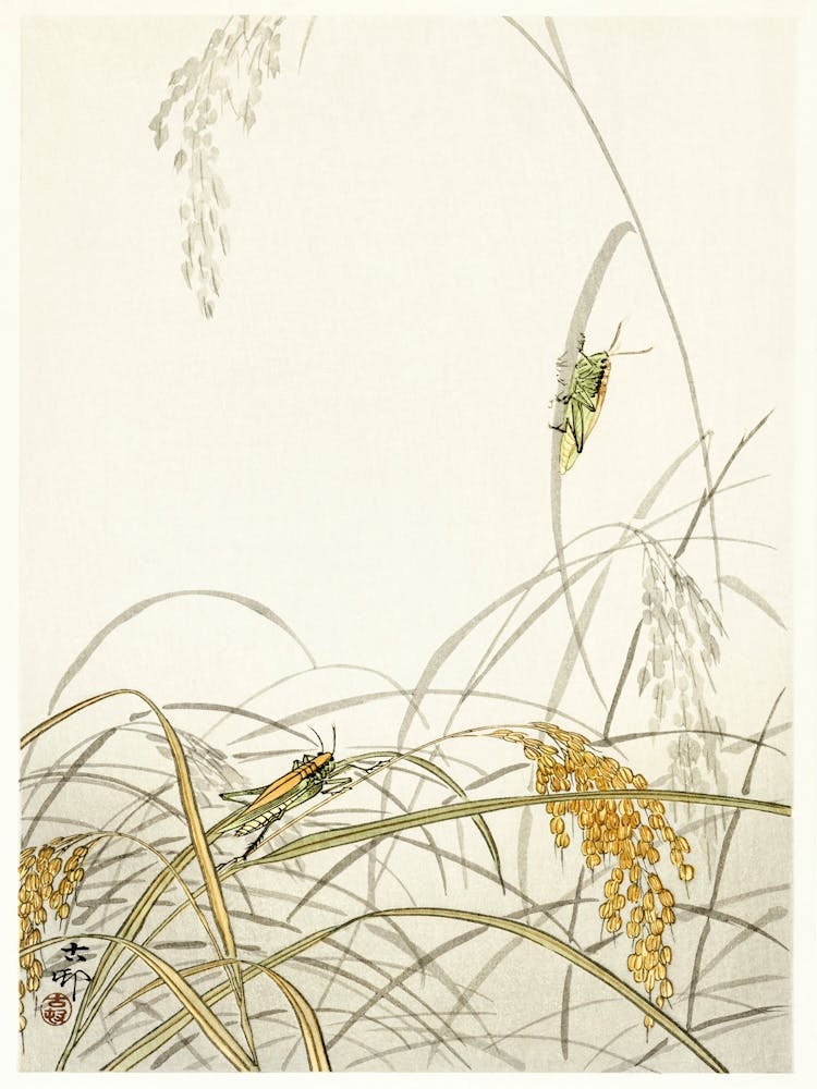 Grasshoppers On Rice Plants (1900 1936), Ohara Koson
