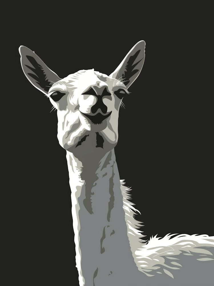 Llama 10
