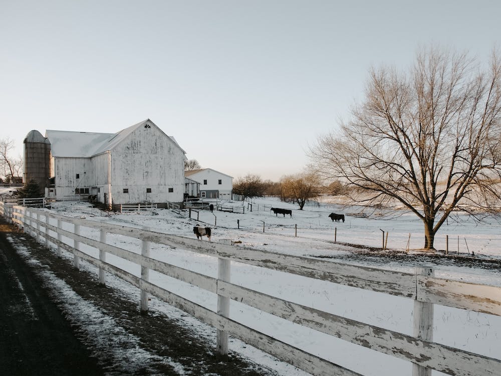 White Winter Barn