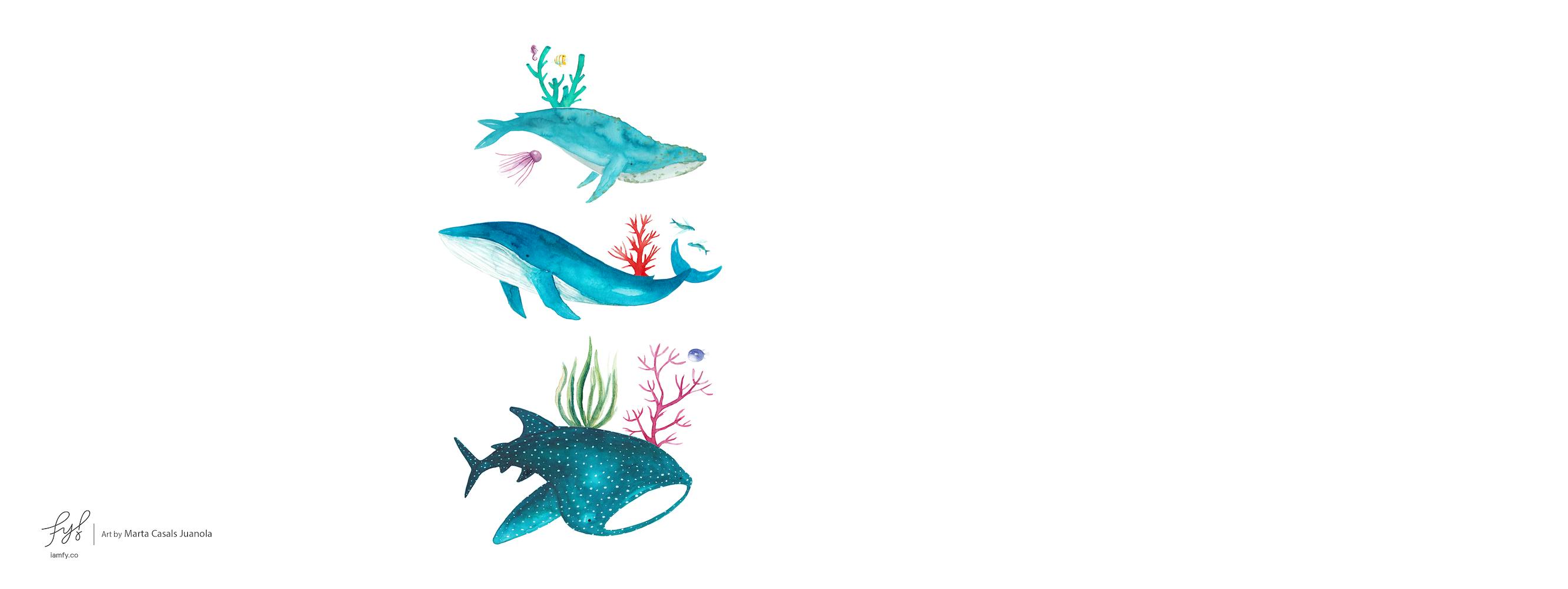 Ocean Creatures
