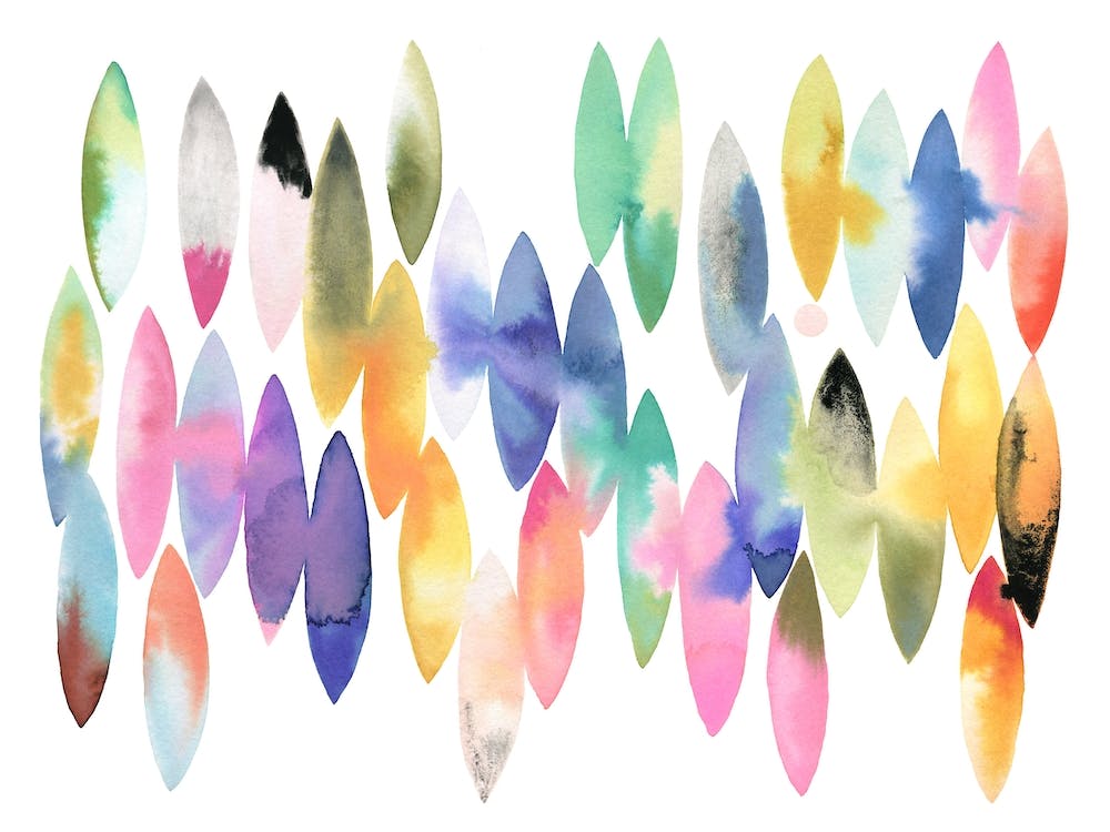 Seeds Colorful Geometric