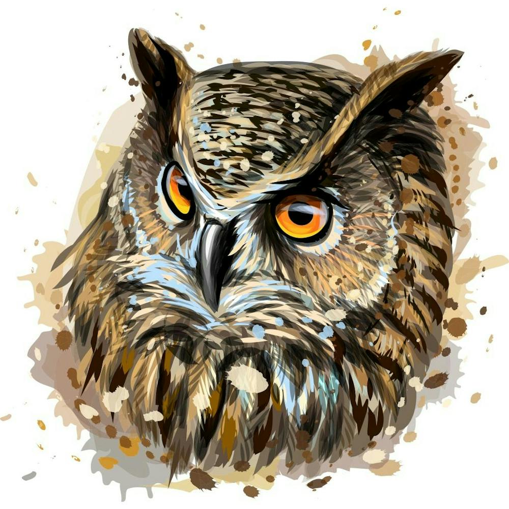 Owl Painting