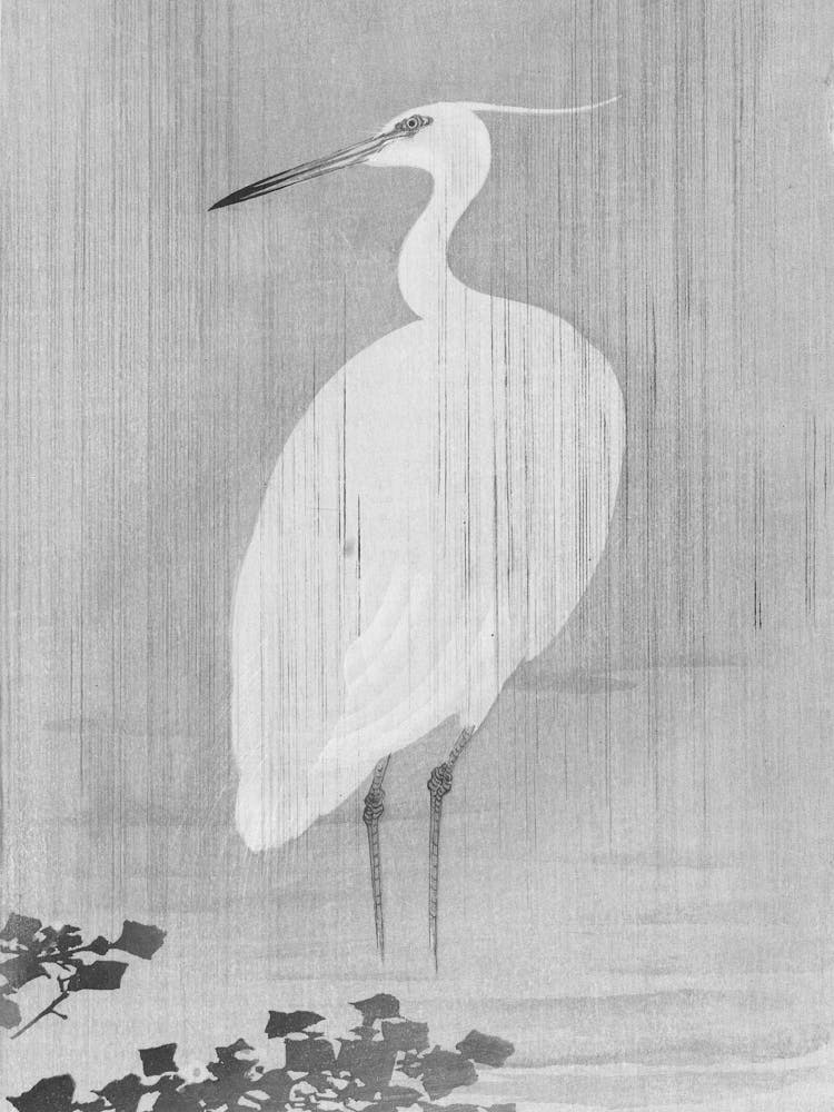Egret In The Rain 1