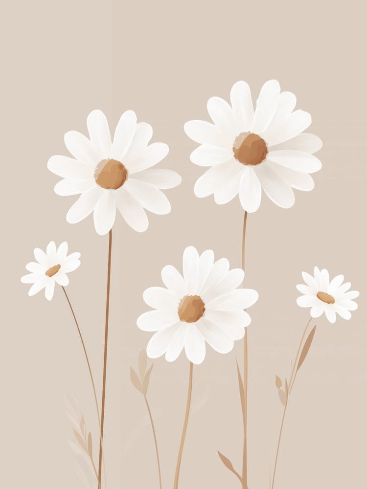 Jolies Marguerites