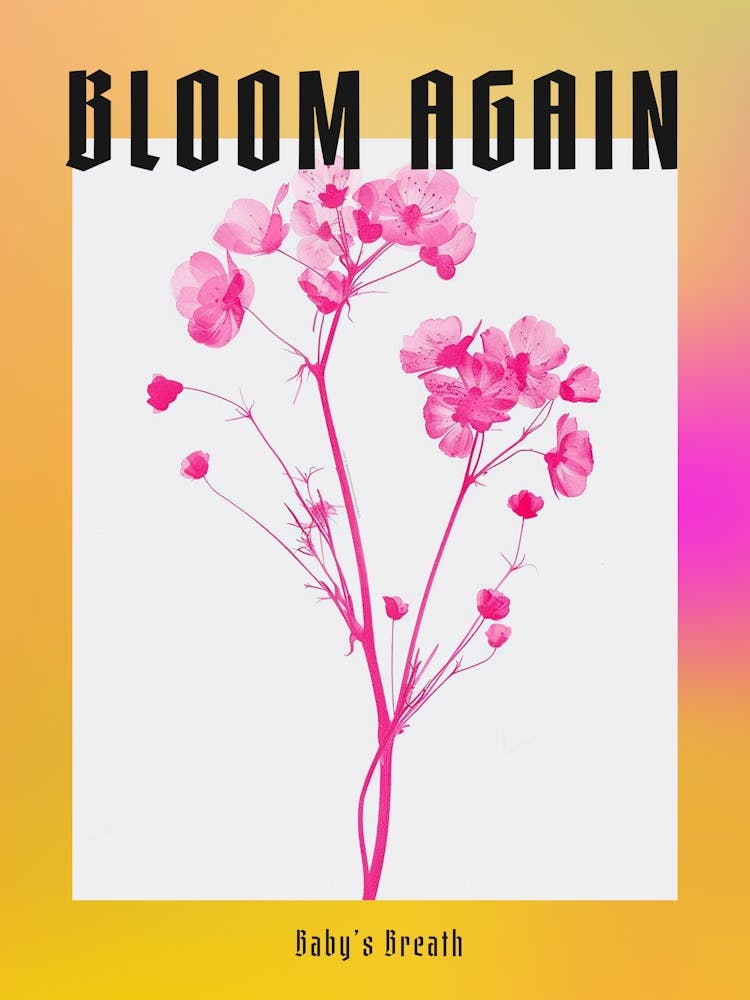 Hot Pink Babys Breath 2 Poster